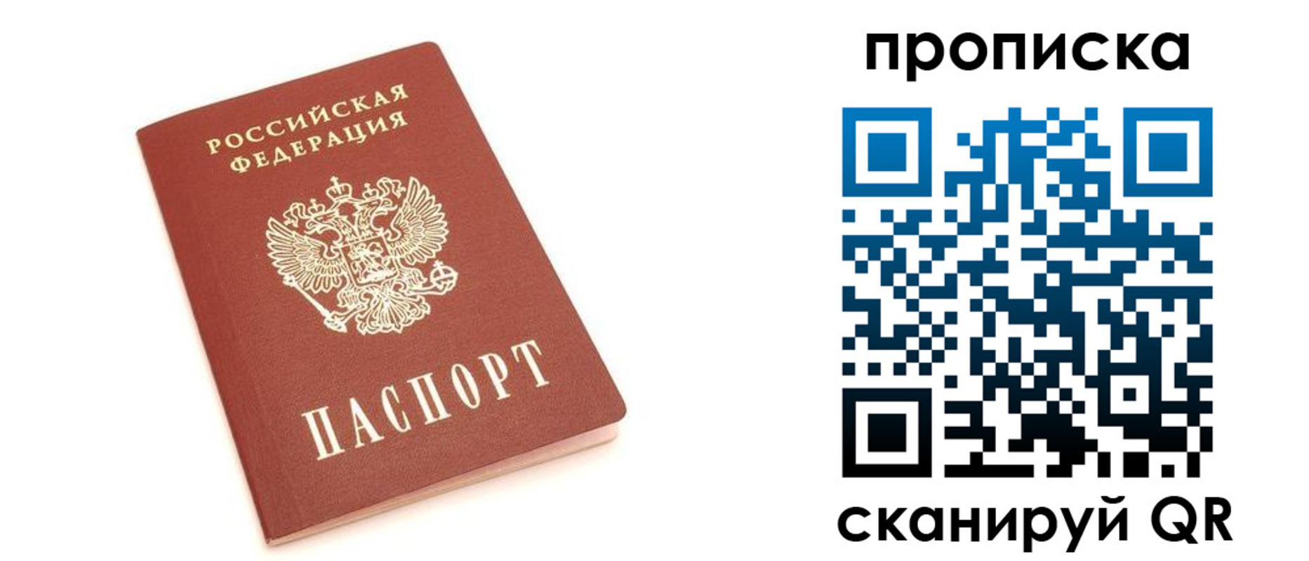 прописка 2025 в Куртамыше